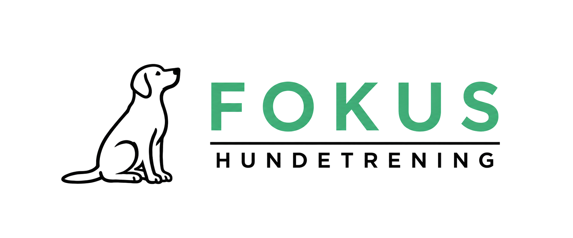 Fokus Hundetrening